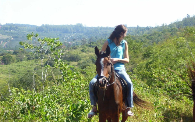Hamilton Parks Country Lodge