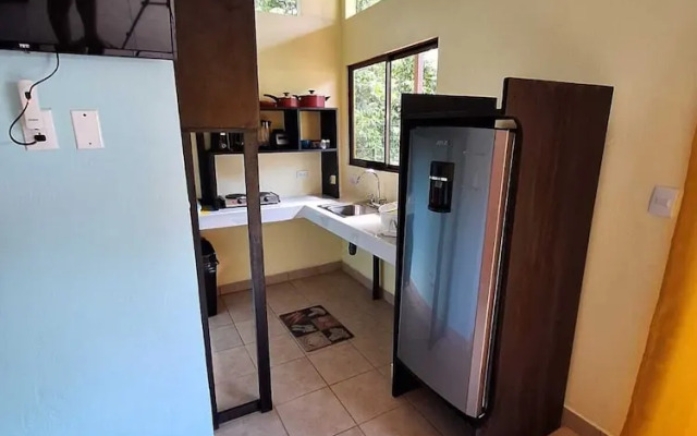 Caribbean Blue Morpho