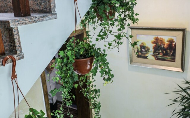 Jiaxing Pu Art Inn