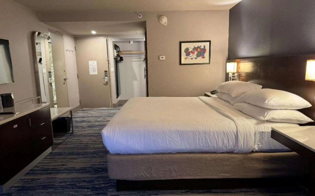 Skyline Hotel Detroit Airport, SureStay Collection by BW