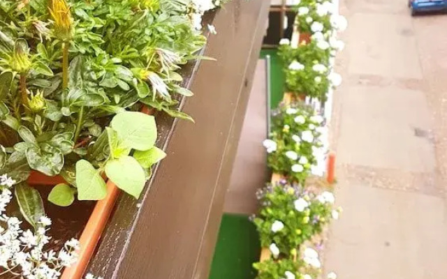 Silberburg Bad Wildbad