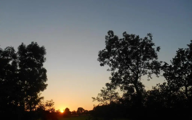 Bij en Boom Bed & Breakfast