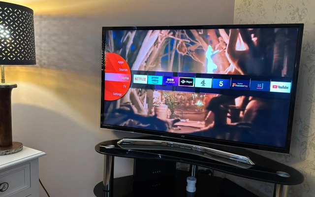 The Little Beech Tree