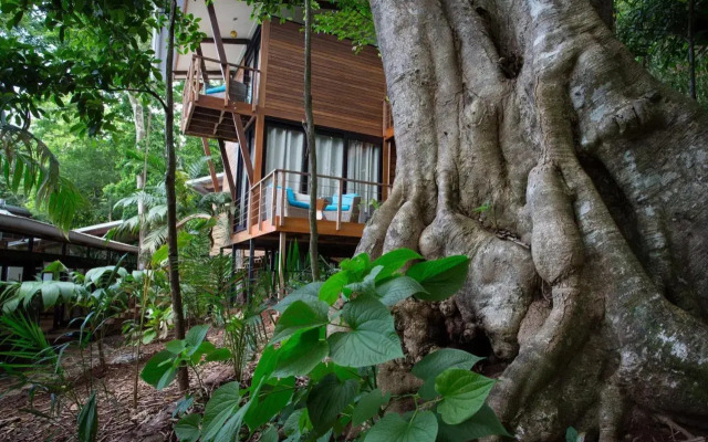 The Resort at Isla Palenque