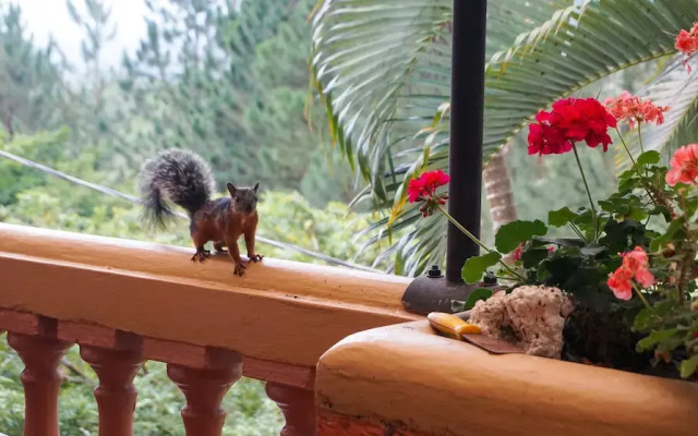 Cabañas La Naciente