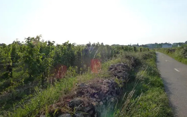 Gite Des Vignes