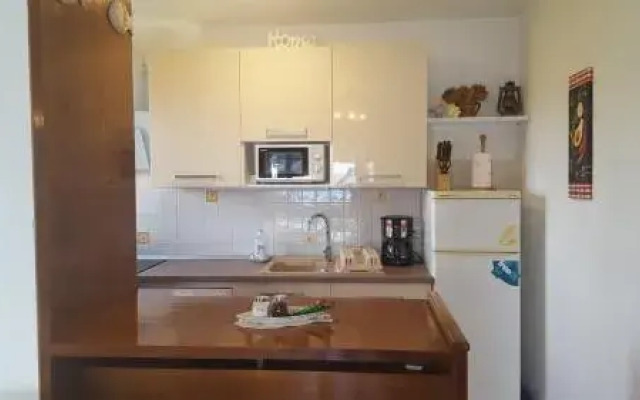 Apartment Petricic