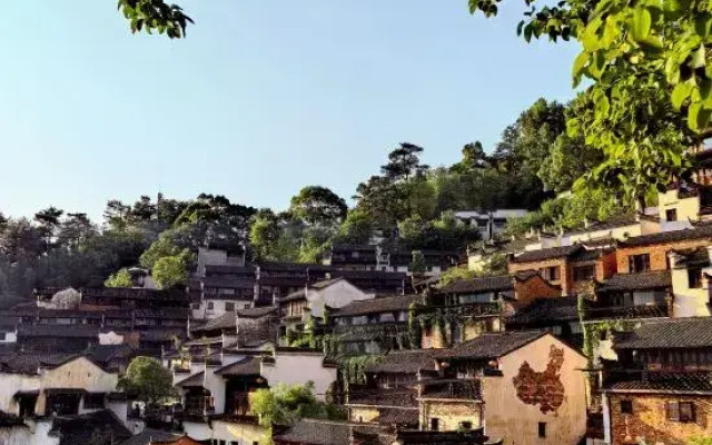 shiguangtingyuan·huangling scenic guofeng dujia meishu