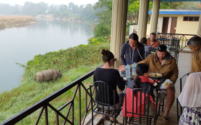 Jungle Wildlife Camp