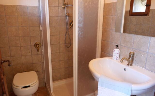 Mimosa - Borgo la Civitella