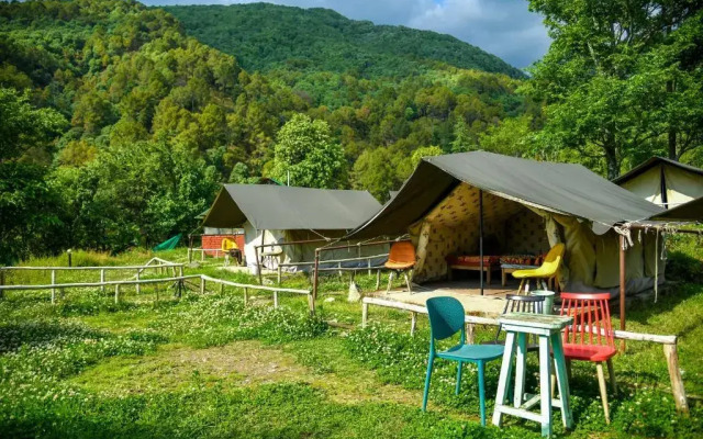 Monkey Mud Hostel And Camps
