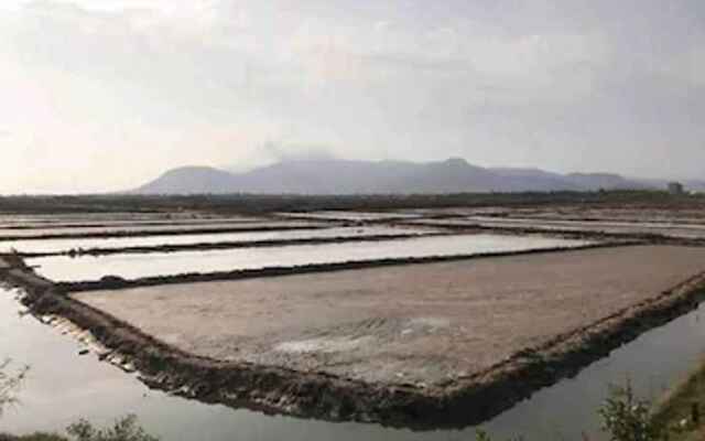 Salt Field Glamping