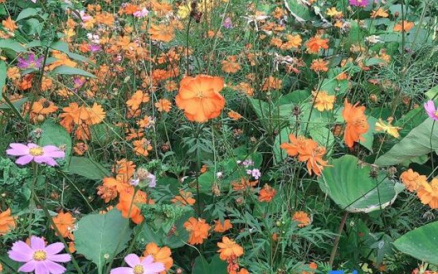 Yuanzhongyuan Leisure Holiday Villa