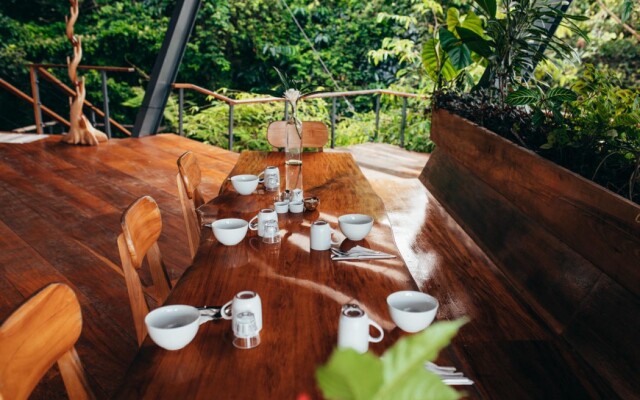 La Loma Jungle Lodge & Chocolate Farm