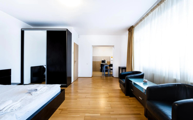 Luxury Studio Aviatiei