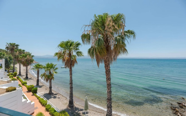 Beachfront Modern Apartment