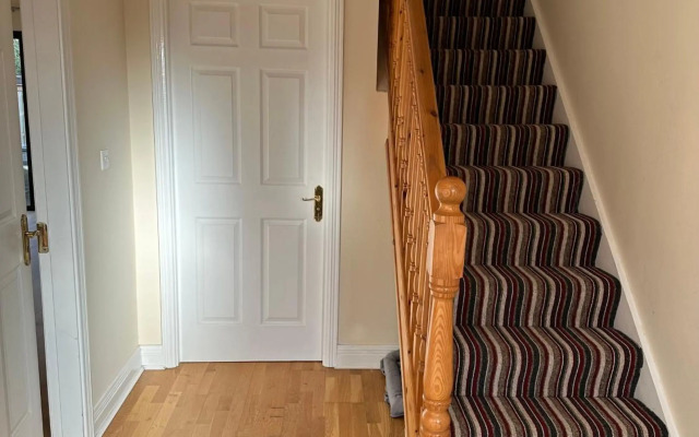 Home on the River Shannon