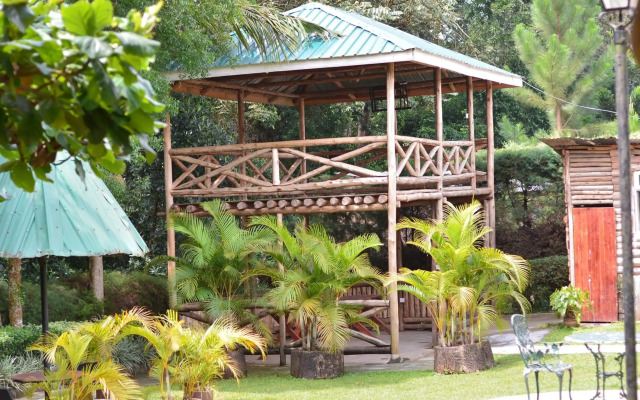 St. Patrick’s Forest House