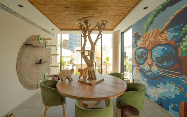 Nas House Private Villas