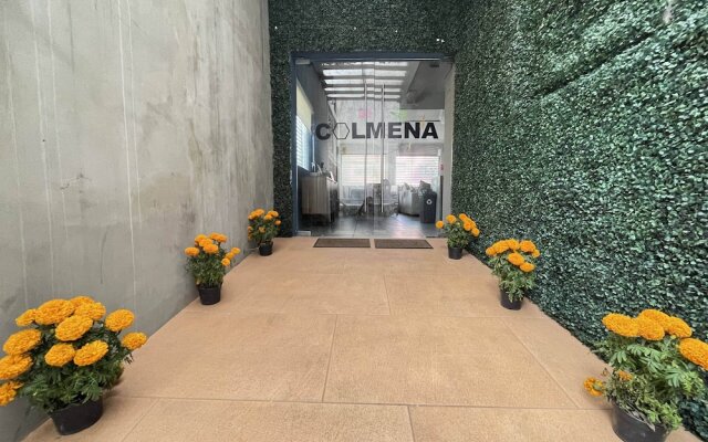 Colmena