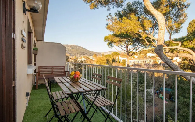 Appart Les Palmiers T3 3 Terrasse Dans Les Pins