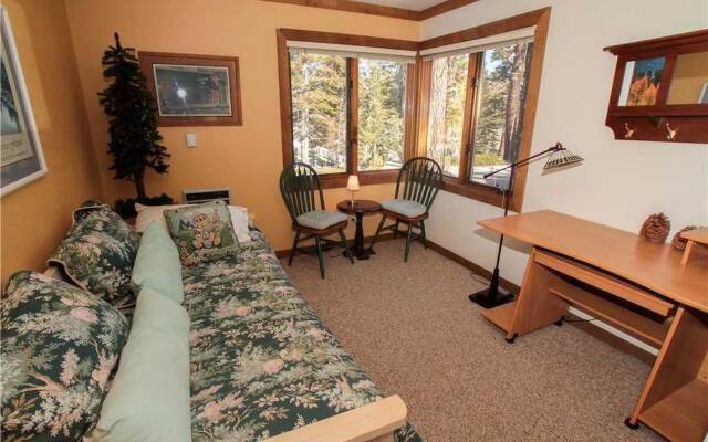 Mountainback #33, Den