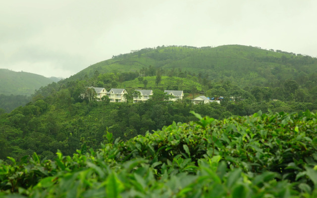 The Grasmere Resorts