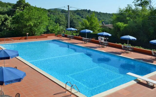 San Vivaldo. Nr. 11 (MOI132)