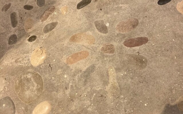 Le Mouton à 5 Pattes