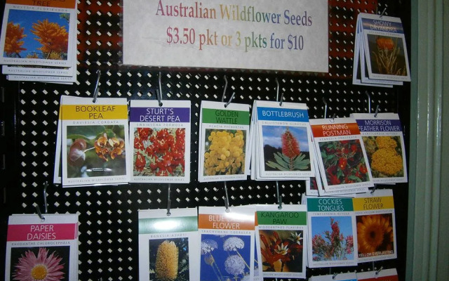 The Grand Guesthouse