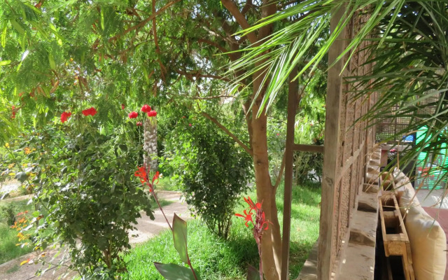 ibis Tlemcen