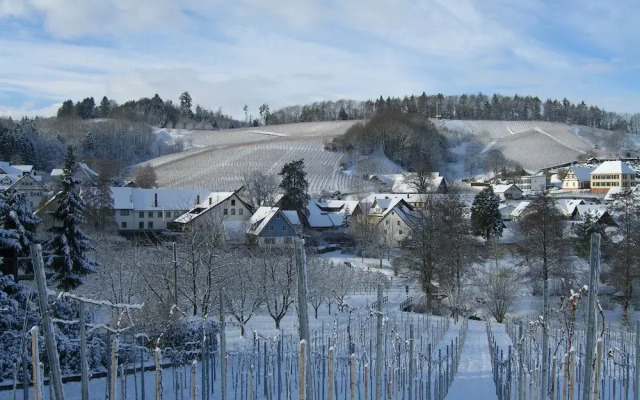 Faxe Schwarzwälder Hof