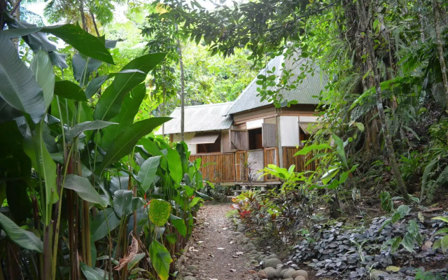 Roots Jungle Retreat