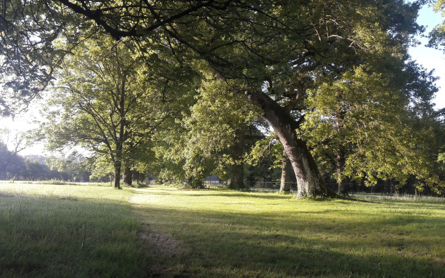 Domaine de La Briandais, a place of electromagnetic sobriety
