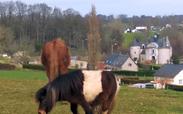 Chez Papito et Mamito