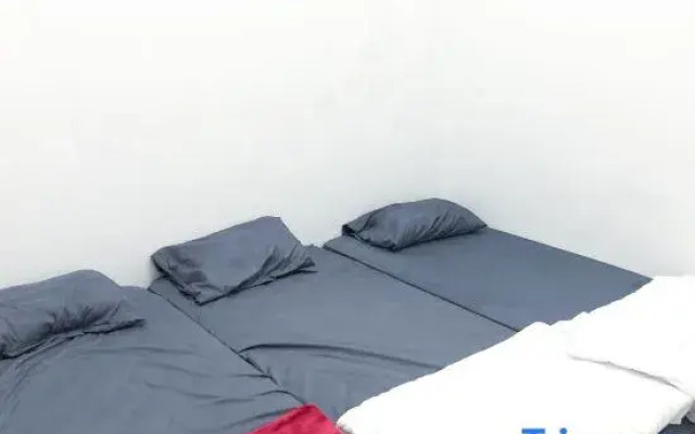 MomoInn Sea Lion Fish