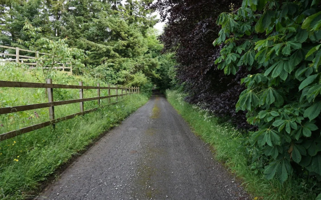 Mosswood
