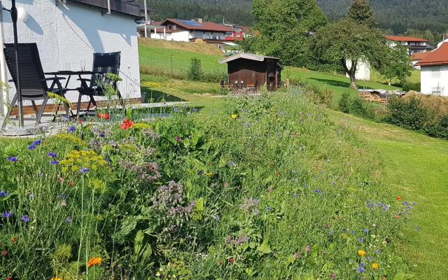 Wohnung Wiesengrün - Osserblick