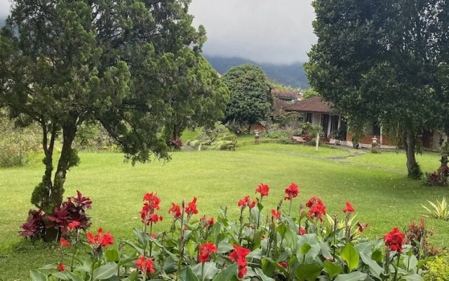 Buyan Resort