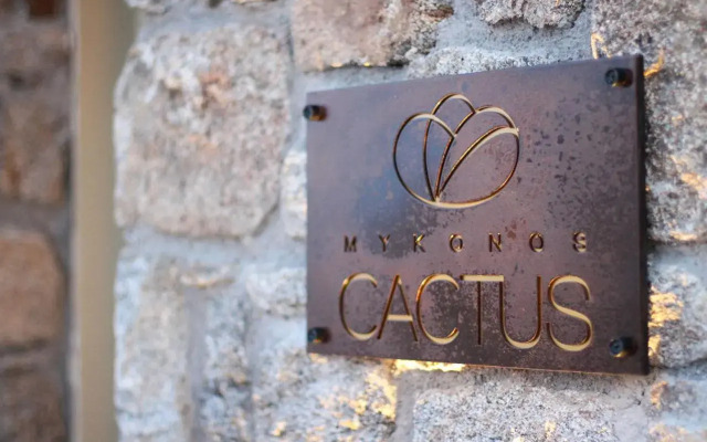 Mykonos Cactus