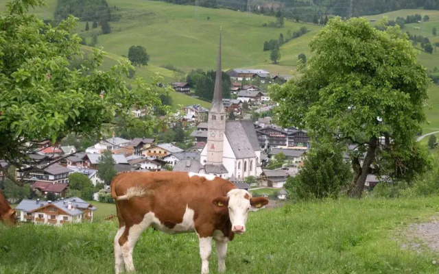 Feriennest Leitner