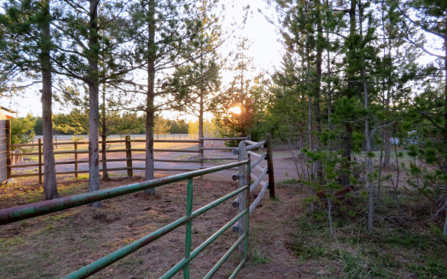 Woodhouse Cottages and Ranch
