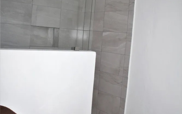 Stay Tropical Downtown Studios