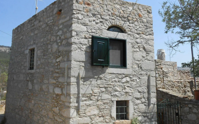 Spitakia