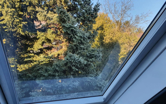 Zöld Relax Apartments