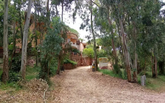 Green House - Woods And Beaches - Sardinia