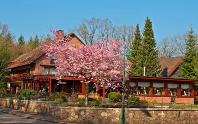 Witte's Hotel