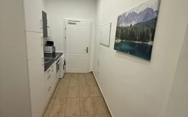 Stylish 1BR Apartment City Center