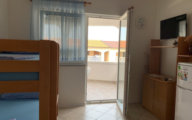 Apartment Vir 5 in Vir