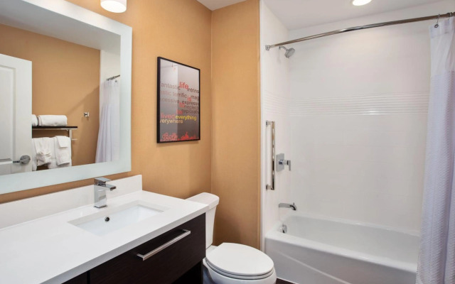 TownePlace Suites by Marriott Detroit Belleville